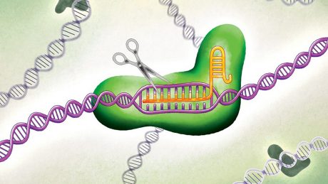 CRISPR-featured image